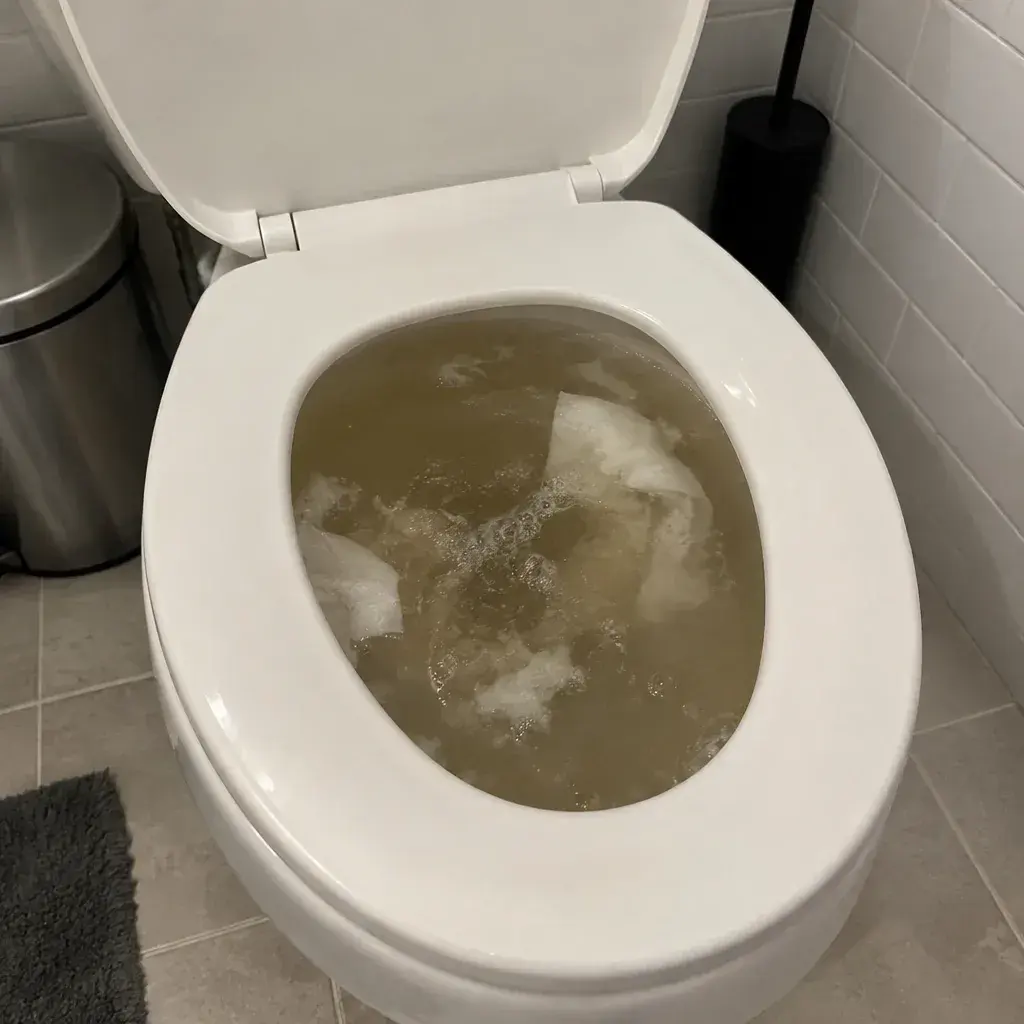 Storm Sewer Backup Cleanup sewer backup cleanup in the United States
